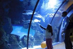 Acquario Civico di Milano con i bambini