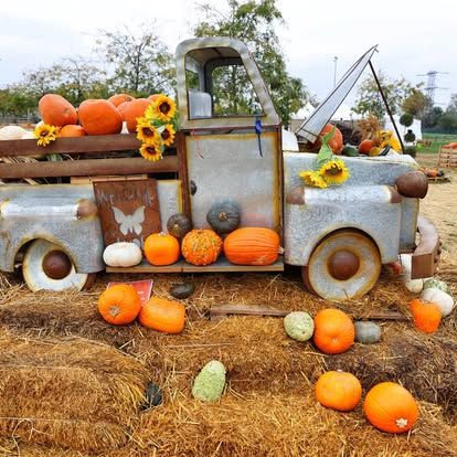 I campi di zucche in Lombardia: dove fare il pumpkin patch campi di zucche campi di zucche