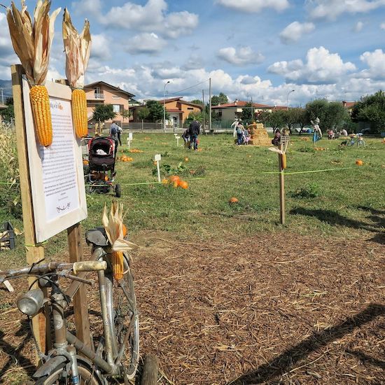 I campi di zucche in Lombardia: dove fare il pumpkin patch campi di zucche campi di zucche