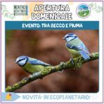 Ecoplanetario