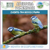 Ecoplanetario