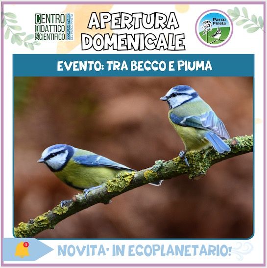 Tra becco e piuma ... con EcoPlanetario! EcoPlanetario Ecoplanetario