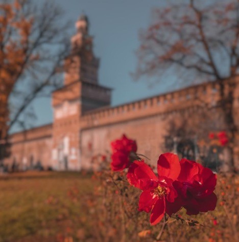 Il Castello Sforzesco