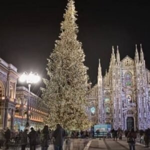Il Natale degli alberi a Milano