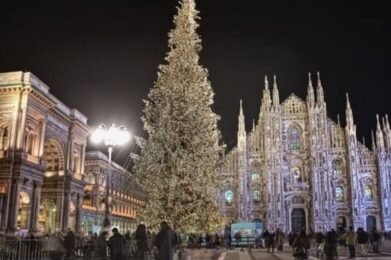 Il Natale degli alberi a Milano