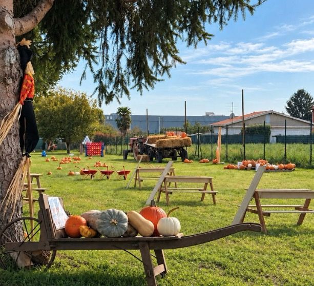 I campi di zucche in Lombardia: dove fare il pumpkin patch campi di zucche Tuligram