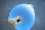 WPY62 © Audun Rikardsen