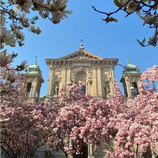 fioriture a milano