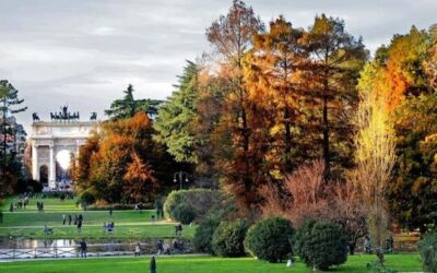 foliage a milano