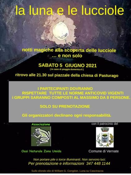 Dove vedere le lucciole a Milano e dintorni dove vedere le lucciole a milano dove vedere le lucciole a milano