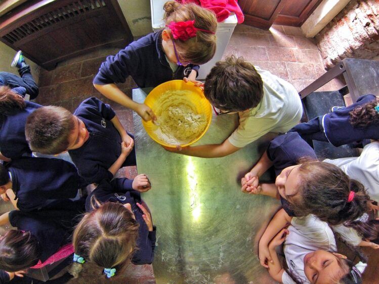 Centro estivo Abbazia e Mulino di Chiaravalle