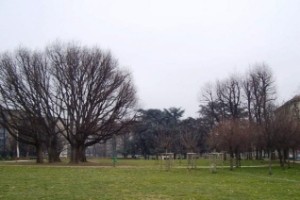 parco-Pallavicino-Vergani