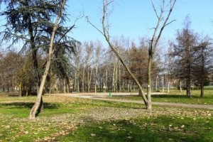 parco_Andrea_Campagna