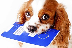 pet passport