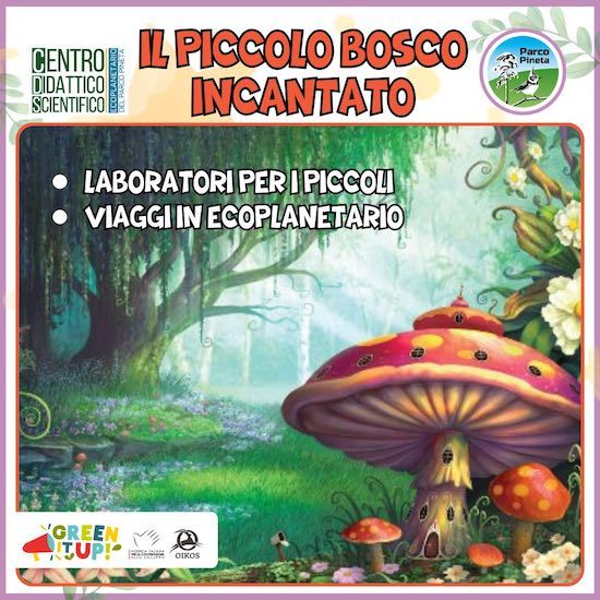 IL PICCOLO BOSCO INCANTATO piccolo bosco incantato piccolo bosco incantato